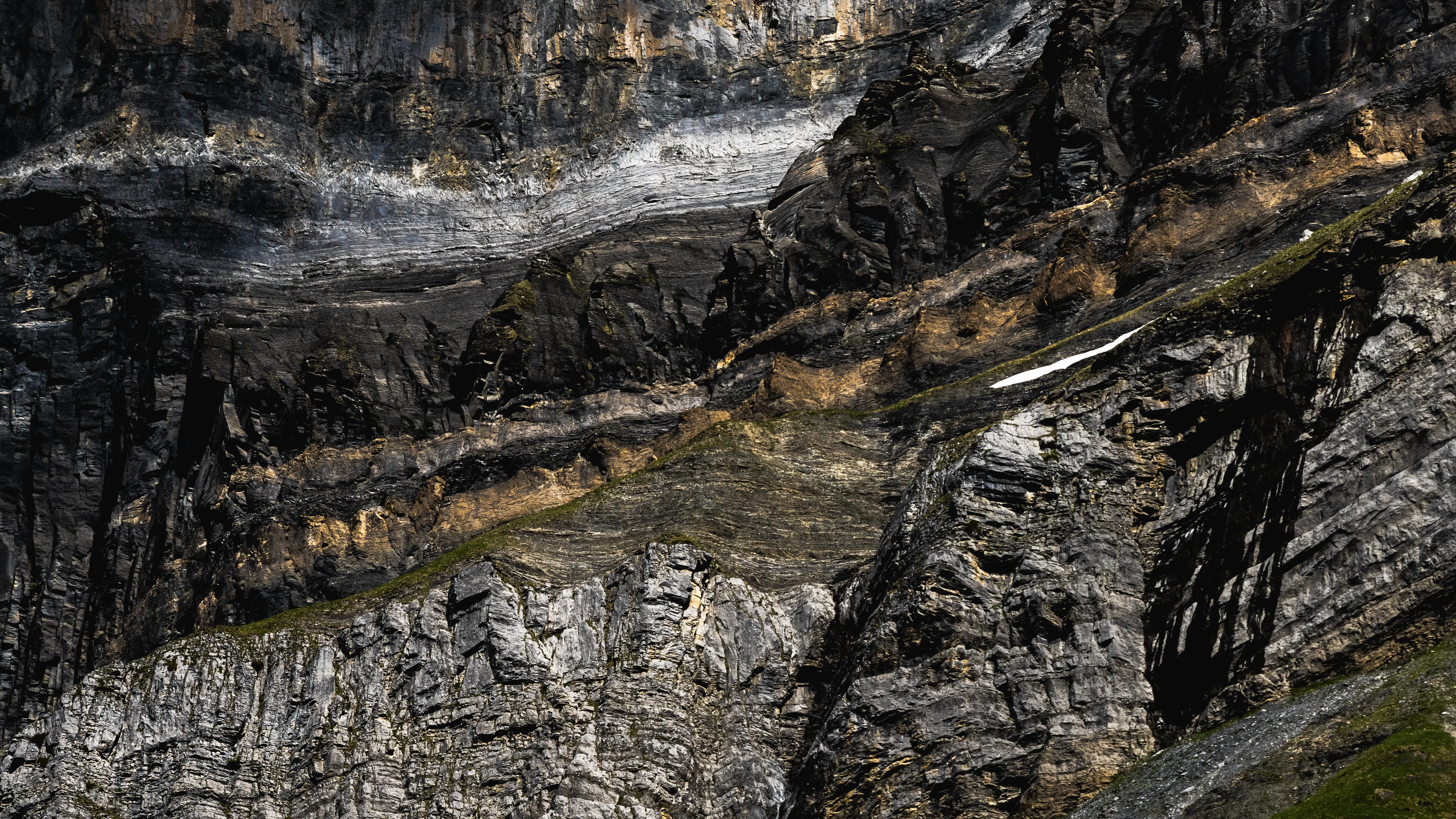 Engagement écologique